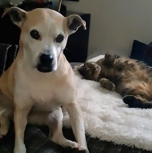 Meet your Posher, Kim